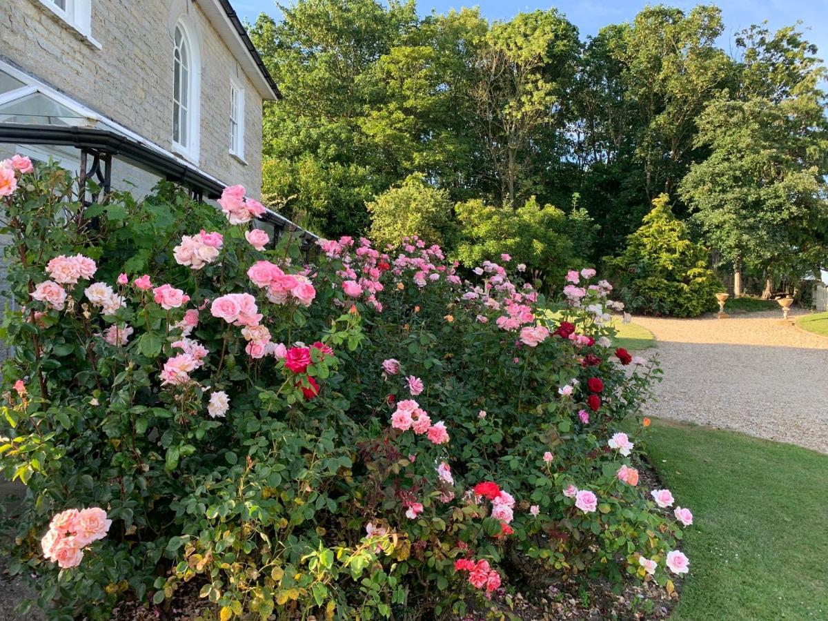 Cary Fitzpaine House Bed & Breakfast Babcary Exterior photo